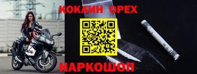 ECSTASY Гатчина