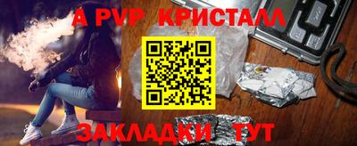 ECSTASY Гатчина